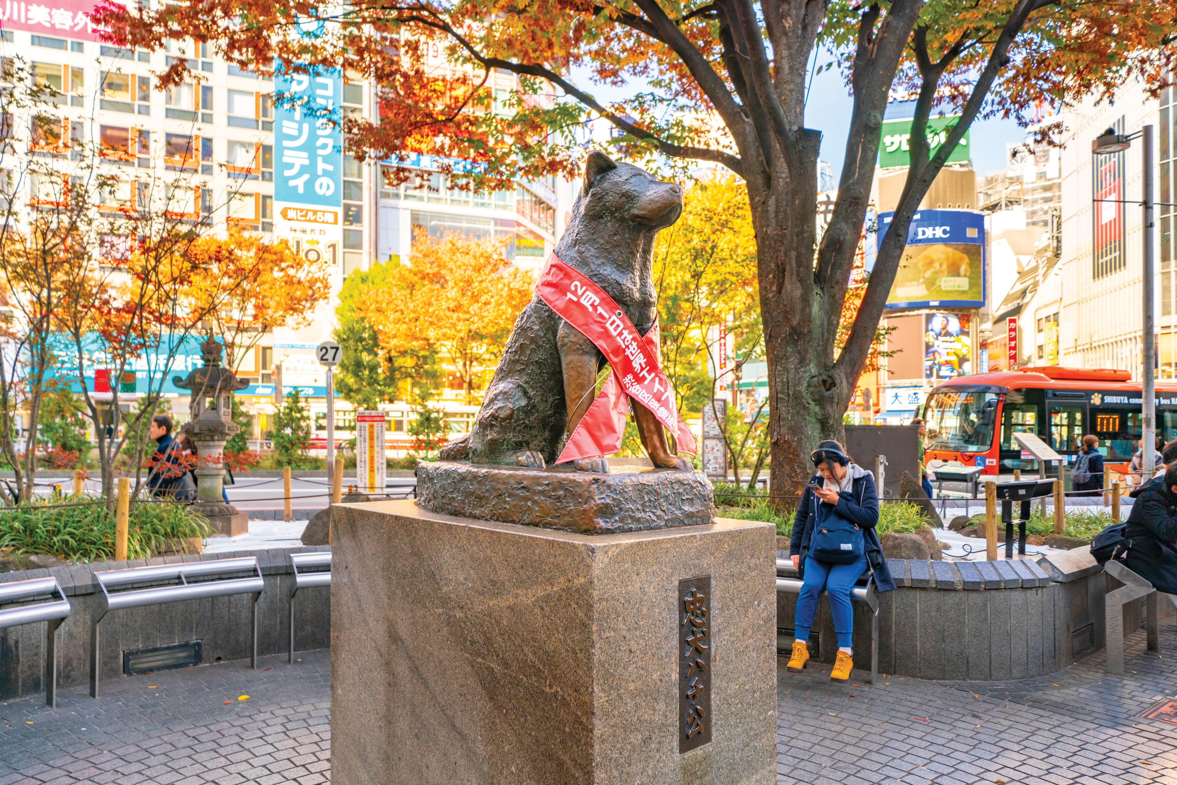 7D5N TOKYO/MT.FUJI/TOKYO DISNEYLAND +1 FREE DAY 