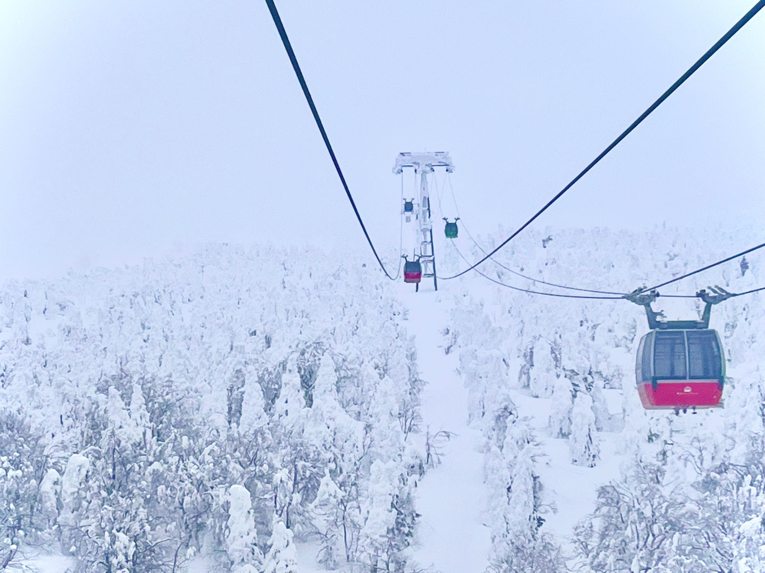 7D5N JAPAN TOHOKU + TOKYO (TOCHIGI/MIYAGI/YAMAGATA)