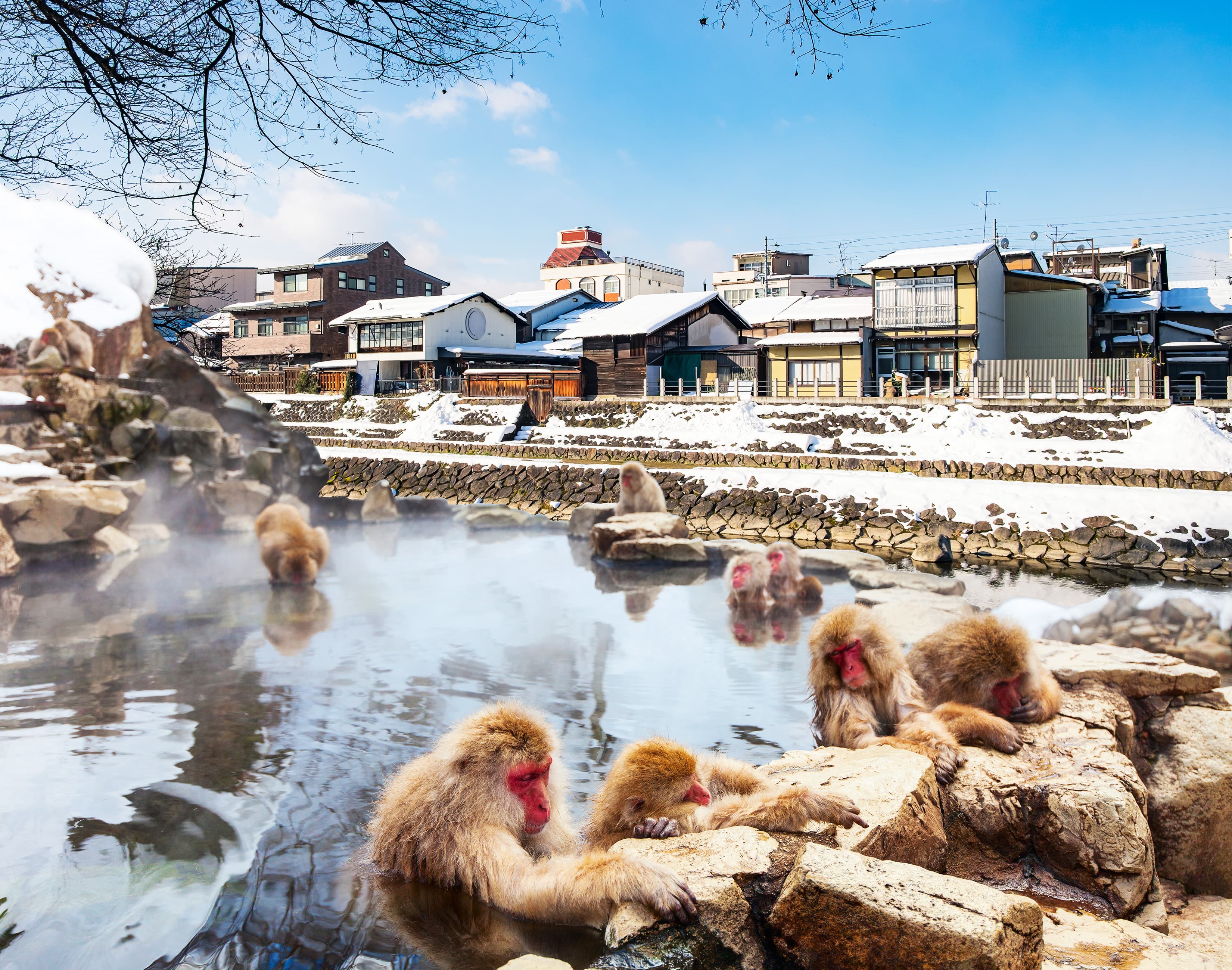 7天6夜 东京/长野/高山/白川乡合掌村/京都/大阪 + 1日自由活动